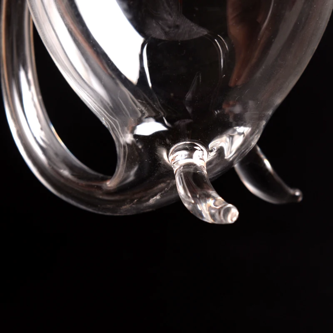 Modern Glass cup